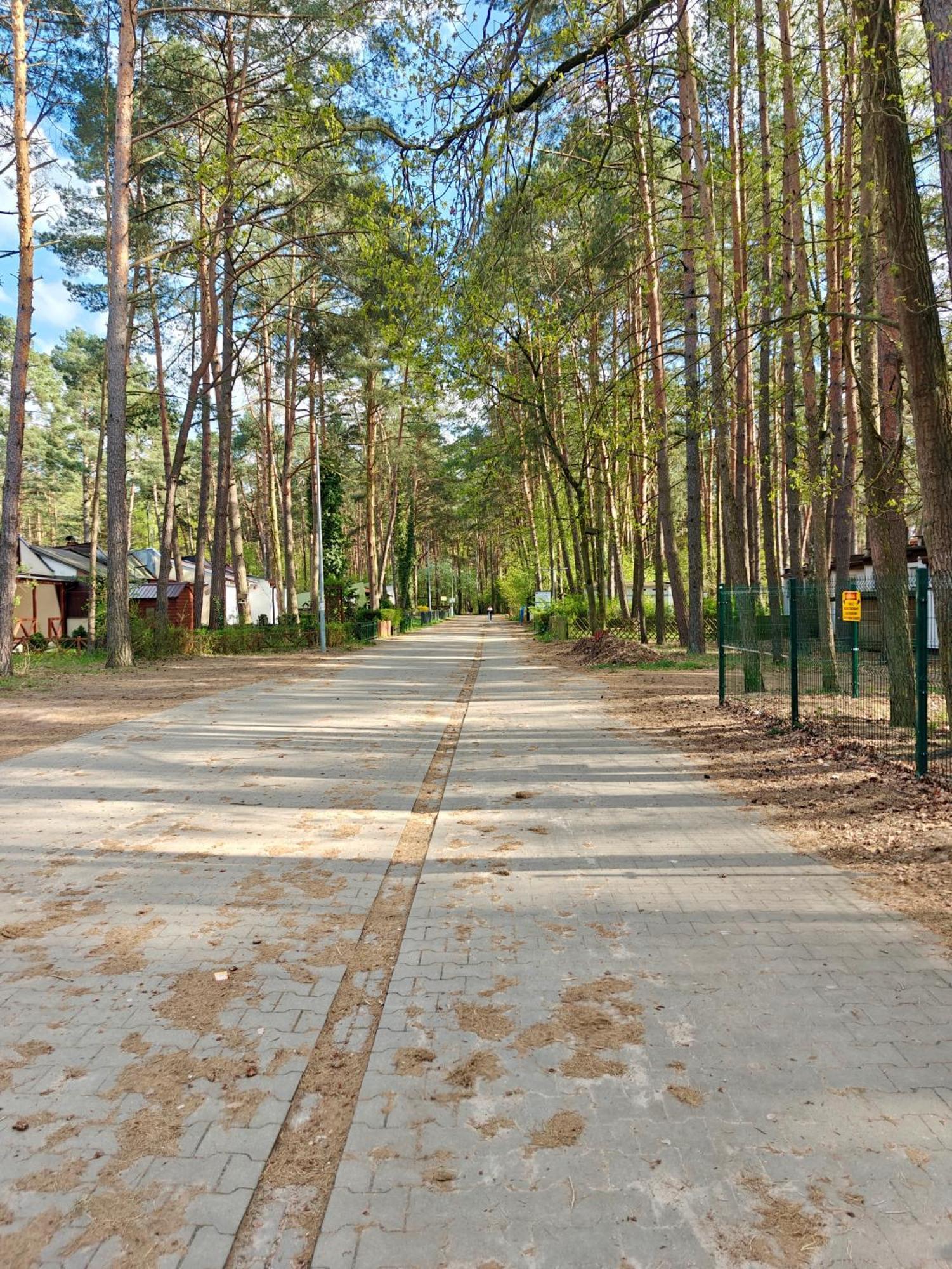 Lesna Ostoja W Centrum Puszczy Nadnoteckiej Otoczona 3 Jeziorami Miedzychod Exterior photo